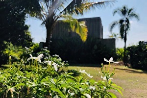 design in tropical nature