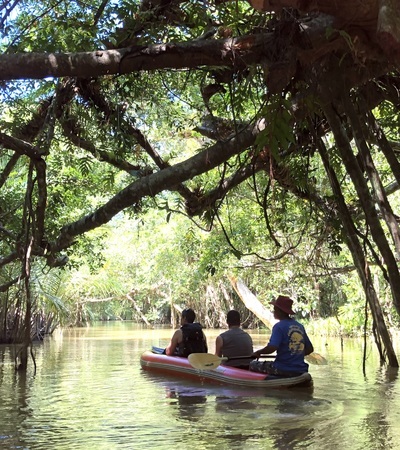 Little Amazon Canoe Trip